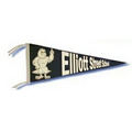 Medium Wall Pennant